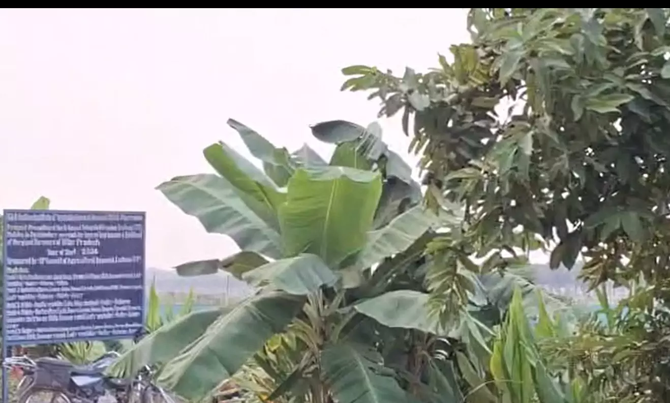 वाराणसी में किसान की आय बढ़ाने के लिए इंटीग्रेटेड फार्मिंग मॉडल हुआ शुरू