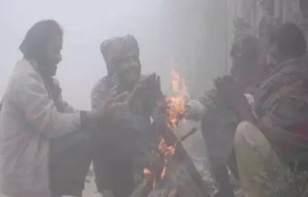 उत्तर-पूर्व से लेकर उत्तर भारत तक शीतलहर का प्रकोप, कोहरे ने बढ़ाई मुश्किलें उत्तर-पूर्व से लेकर उत्तर भारत तक शीतलहर का प्रकोप, कोहरे ने बढ़ाई मुश्किलें