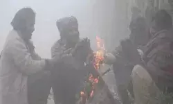 उत्तर-पूर्व से लेकर उत्तर भारत तक शीतलहर का प्रकोप, कोहरे ने बढ़ाई मुश्किलें