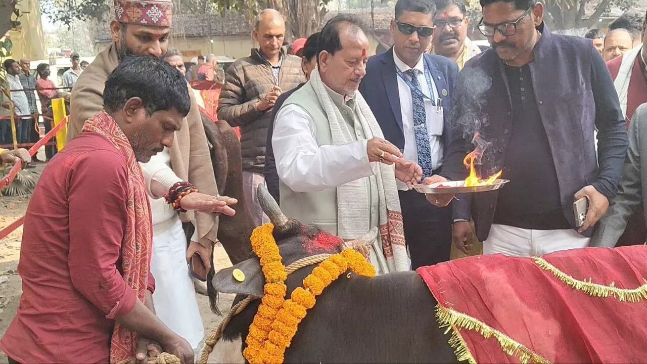 गयाजी गौरक्षणी गोशाला में उप मुख्यमंत्री विजय कुमार सिन्हा का दौरा गयाजी गौरक्षणी गोशाला में उप मुख्यमंत्री विजय कुमार सिन्हा का दौरा