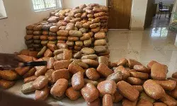 कबीरधाम पुलिस ने करीब 5 करोड़ रूपये कीमत का 9 क्विंटल गांजा किया बरामद