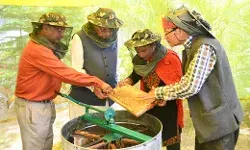 राज्य में 9 हजार से अधिक किसान कर रहे व्यावसायिक रूप से मधुमक्खी पालन- कृषि मंत्री