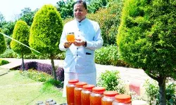 पर्वतीय क्षेत्रों में मधुमक्खी पालन को किया जाएगा प्रोत्साहित- मुख्यमंत्री