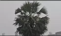 कटिहार: वज्रपात से तीन लोगों की मौत, परिजनों को मिलेगा ₹4-4 लाख का मुआवजा