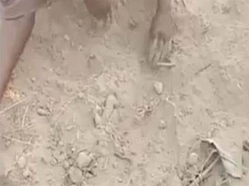 Baby boy found buried in UP