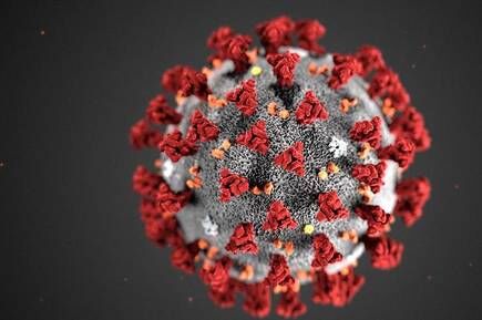 Chinas corona virus death count crossed