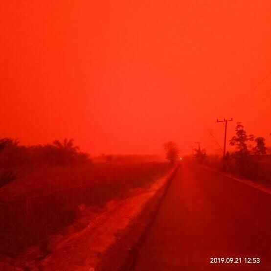 इंडोनेशिया में जंगल में लगी भीषण आग से आसमान हुआ लाल