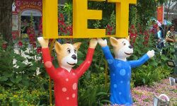 पंजाब टीईटी परीक्षा के एडमिट कार्ड जारी, करें डाउनलोड