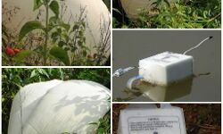 जमीन पर गिरा पैराशूट को देखकर परेशान हुए ग्रामीण, बताने लगे कोरोना फैलाने वाला यंत्र