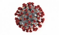 Coronavirus: देश में कोरोना मरीजों का आंकड़ा 3 हजार के पार, अब तक 77 लोगों की मौत