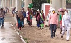 लॉकडाउन के चलते हिमाचल में फंसे हैं 100 भारतीय व 140 विदेशी पर्यटक: राज्य सरकार