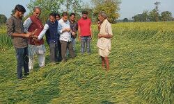 कोरोना से रोना पर किसान का रोना पर कब रोना