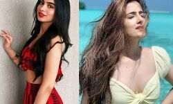 जल्द ही हो सकती है बॉलीवुड में कृति सेनन की बहन की इंट्री...