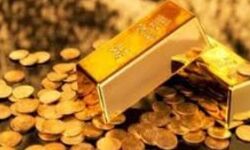 थिरुवनाईकवल में मंदिर के पास खुदाई में मिले अरबी भाषा में लिखे सोने के सिक्के