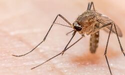 рд╣реЗрд▓реНрде: рдЗрдирд╕реЗрдВ рдмрдЪрдирд╛ рд╣реИ, рддреЛ рд░рд╛рдд 9 рд╕реЗ рд╕реБрдмрд╣ 5 рддрдХ рд░рд╣реЗрдВ рдЬреНрдпрд╛рджрд╛ рд╕рд╛рд╡рдзрд╛рди! - рд╣реЗрд▓реНрде: рдЗрдирд╕реЗрдВ рдмрдЪрдирд╛ рд╣реИ, рддреЛ рд░рд╛рдд 9 рд╕реЗ рд╕реБрдмрд╣ 5 рддрдХ рд░рд╣реЗрдВ рдЬреНрдпрд╛рджрд╛ рд╕рд╛рд╡рдзрд╛рди! -