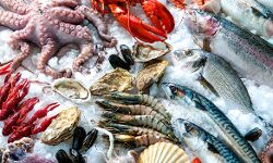 चीन का समुन्द्र के संरक्षित जीवों का व्यापार अंतराष्ट्रीय कानूनों का उलंघन