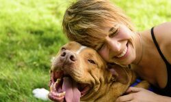 पालतू जानवरों के साथ वक़्त बिताने से स्ट्रेस लेवल कम होता है!