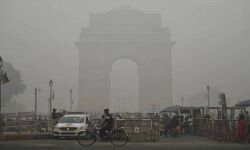 सुप्रीम कोर्ट ने कहा कि गैस से मारने की जगह बम से मार दो