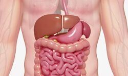 अगर आप कब्ज से परेशान हैं तो कीजिए यह उपाय