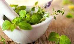 आयुर्वेद में छिपा है हाई ब्लड प्रेशर और हाइपरटेंशन का इलाज !