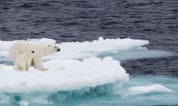 Human will pay a very heavy price for their negligence Human will pay a very heavy price for their negligence