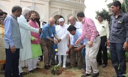 Indias forest  cover increased by 1% in last 5 years