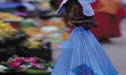 केंद्र ने राज्यों को जारी की एडवाइजरी, 2 अक्टूबर तक सिंगल यूज प्लास्टिक उत्पादों पर रोक लगायी