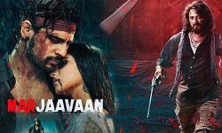 सिद्धार्थ मल्होत्रा के लिए मरजावां का चलना बेहद ज़रूरी जानिए पहले दिन मरजावां कर सकती है कितनी कमाई......