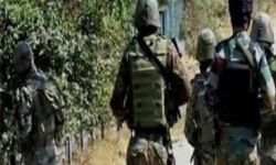 कश्मीर के अनंतनाग में आतंकियों नें किया ग्रेनेड से हमला,10घायल