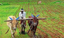 PM Modi extended KISAN Scheme to all farmers