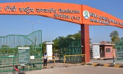 Literature and Life in the era of COVID-19 Literature and Life in the era of COVID-19