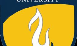 Contemporary Changing Dimension of Law in India with Special Reference to COVID-19