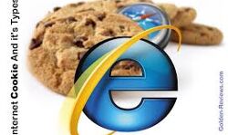 Why are cookies called cookies ?