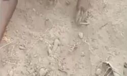 Baby boy found buried in UP