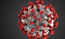 Chinas corona virus death count crossed