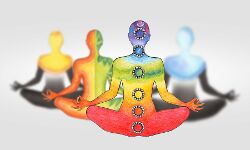 स्वस्थ जीवन के लिए जरुरी है योग :पूनम शर्मा