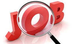 यूपी में संविदा बस ड्राइवर की भर्ती, वेतन होगा 17000 रुपए