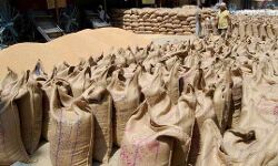 धान क्रय केंद्र का निरीक्षण, देखे रिपोर्ट