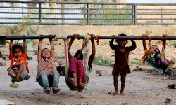 Photography workshop for budding photographers