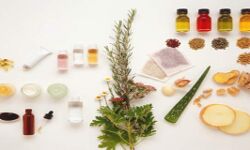 बढ़ते प्रदूषण से बचने के लिए घरेलू उपाय ...