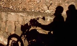 दिल्ली के पंजाबी बाग में की गयी महिला से बैग छीनने की कोशिश