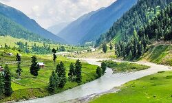 बच्चों ने राज्यपाल से  गुहार लगाई है कि हम छात्रों को पढ़ाने के लिए दो साल से नहीं हैं गणित के शिक्षक....