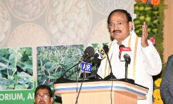 उत्पादकता बढ़ाने के लिए सर्वश्रेष्ठ वैश्विक प्रचलनों से सीख लें; उपराष्ट्रेपति