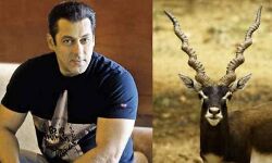 काले हिरण के शिकार मामले में सलमान को कल कोर्ट में पेश होने का आदेश मिला ..