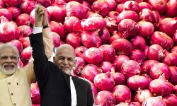 अफगानिस्तान करेगा अब भारत में प्याज का व्यापार