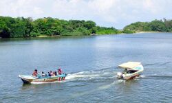 Rudraksh Plantation will  improve in Ganga Basin