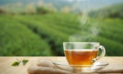 स्वस्थ जीवन के लिए अपनाए ग्रीन टी!