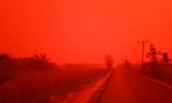 इंडोनेशिया में जंगल में लगी भीषण आग से आसमान हुआ लाल