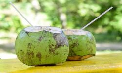 फाएदेमंद है नारियल पानी ,ब्लड प्रेशर को रखता है नियंत्रित...