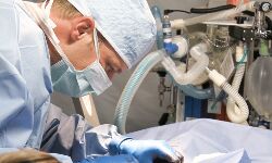 The man who saved thousands of people from HIV The man who saved thousands of people from HIV